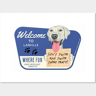 Cute White Lab with let's swim and swim some more Posters and Art